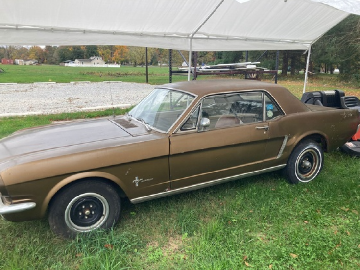 Thumbnail Photo undefined for 1965 Ford Mustang